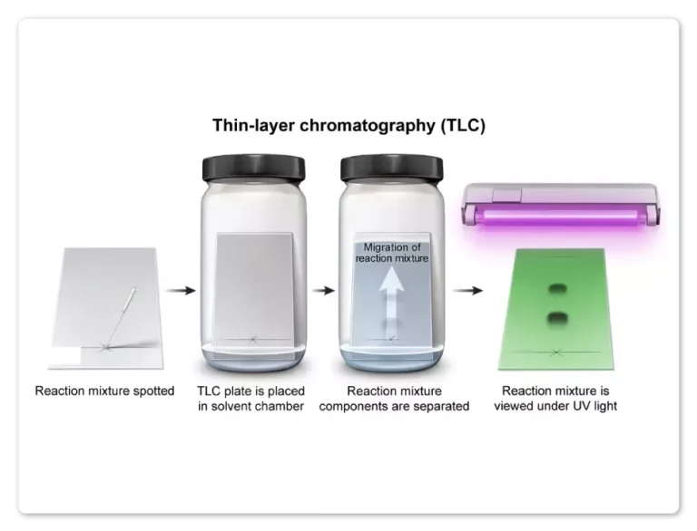 Image within the UWorld MCAT QBank depicting thin-layer chromatography.