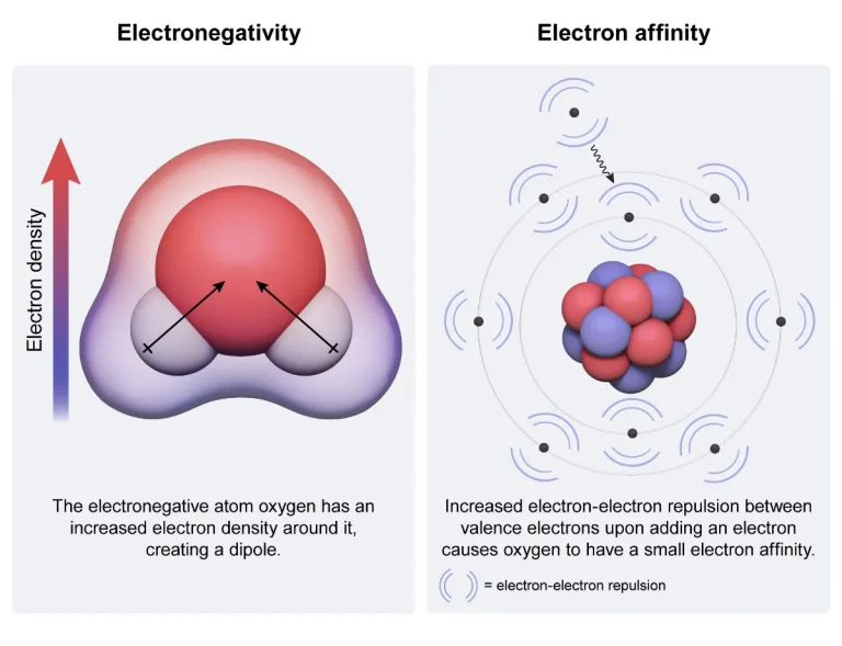 Image within the UWorld MCAT QBank depicting Electronegativity.
