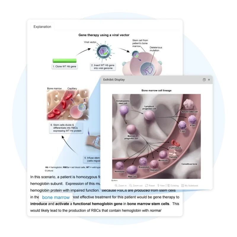 UWorld’s MCAT hyperlink feature