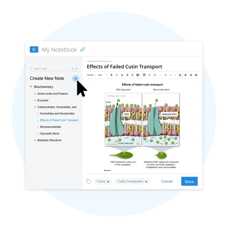 UWorld's MCAT My Notebook, Digital Note-Taking Tool