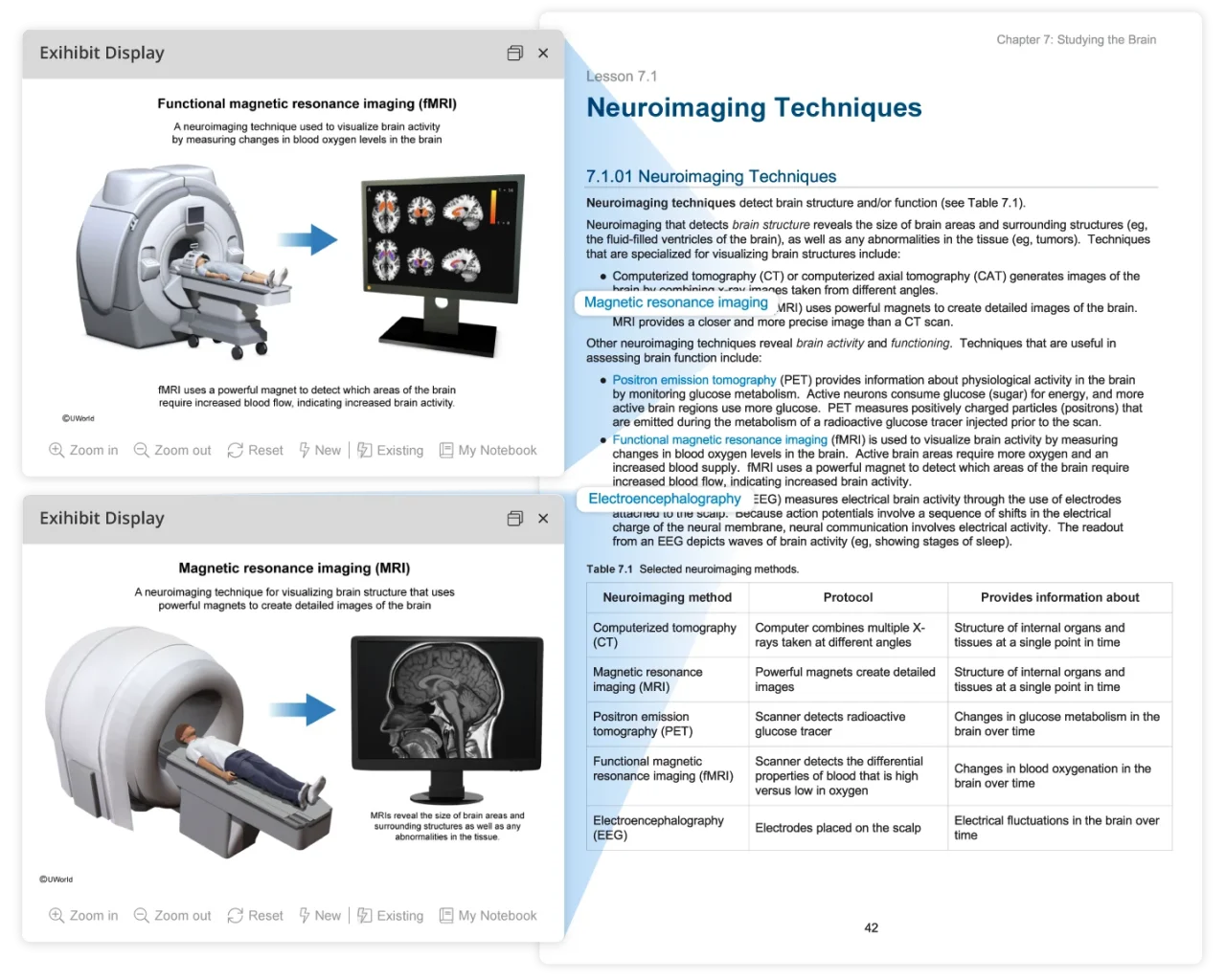 UWorld UBook in-text hyperlinks for additional images and depth of understanding - MCAT Behavioral Sciences