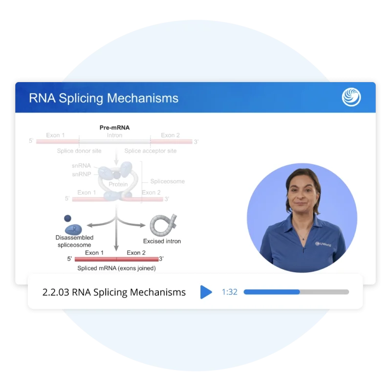 UWorld MCAT video lecture on the cell cycle