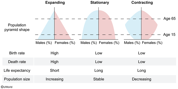UWorld MCAT question about population pyramids