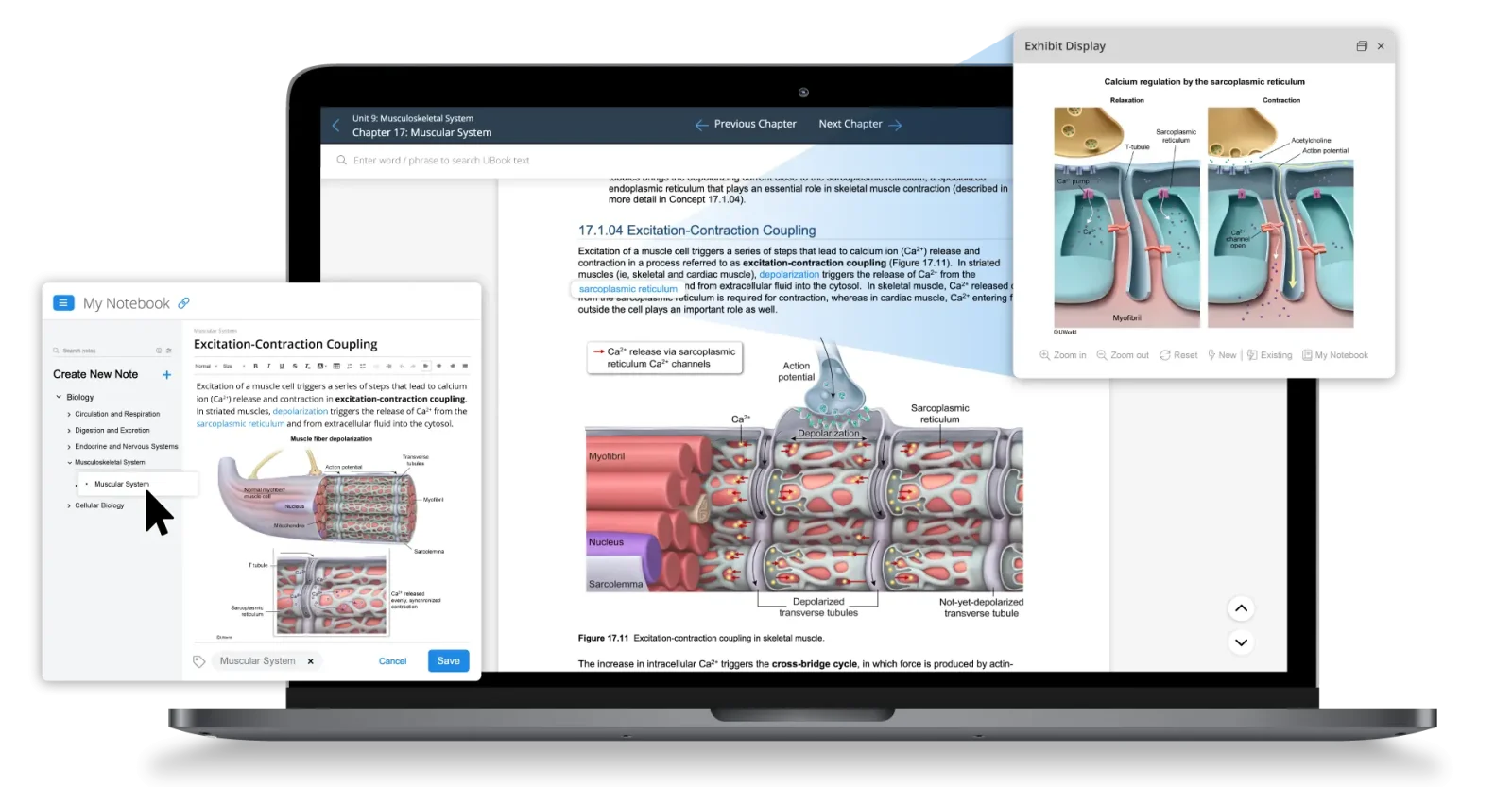 UWorld’s digital MCAT prep books with high-quality visuals and interactive links