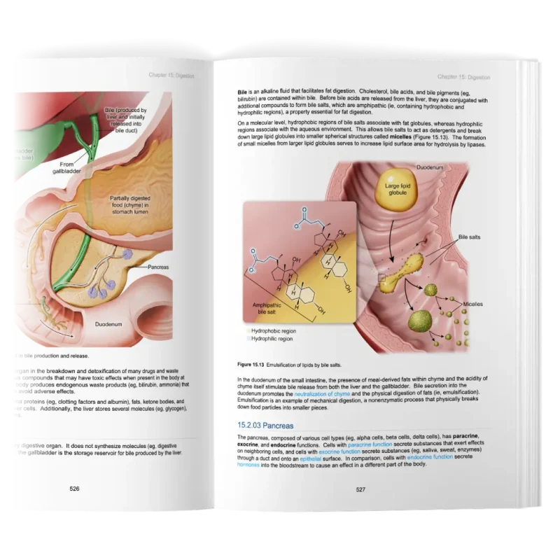 UWorld biology MCAT study book image of a pancreas
