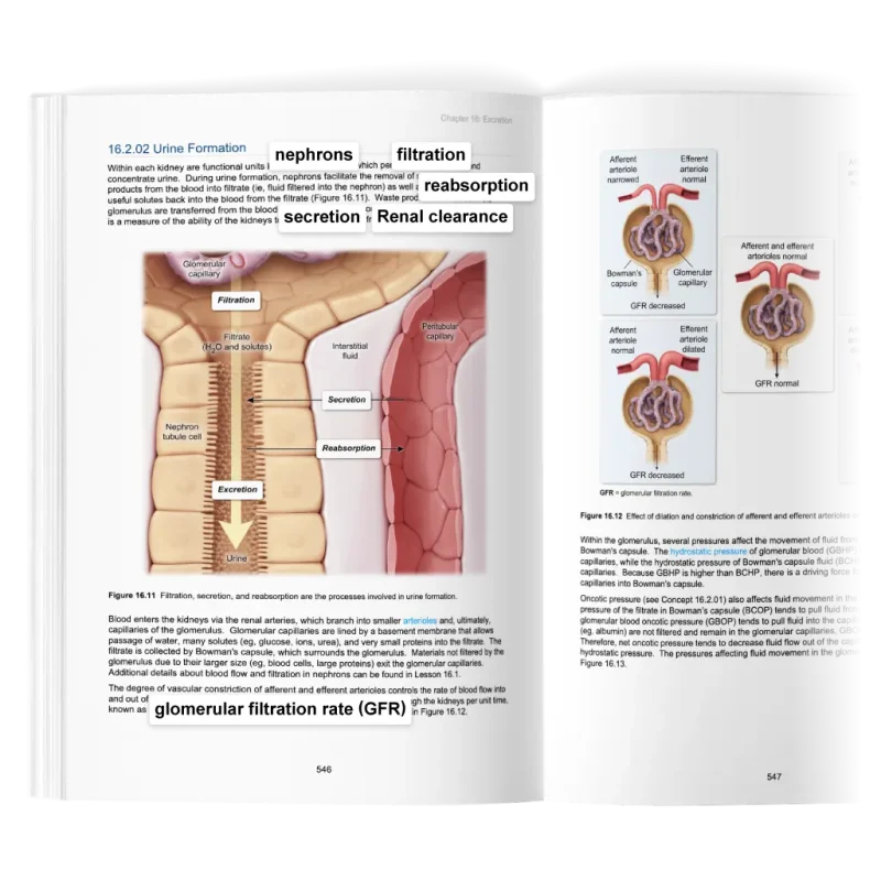 Bolded text in the UWorld biology MCAT preparation book