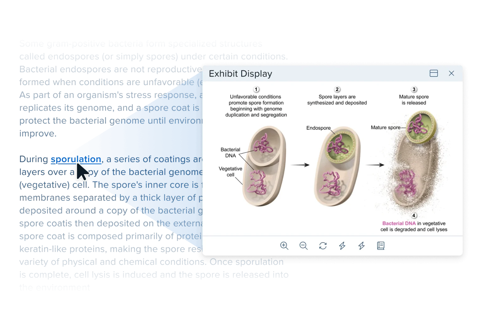 Learn with Hyperlinked Visuals